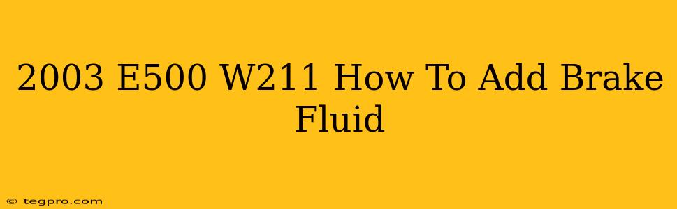 2003 E500 W211 How To Add Brake Fluid