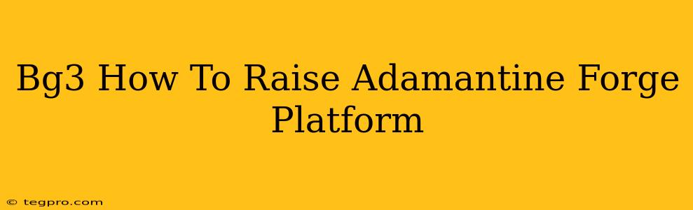 Bg3 How To Raise Adamantine Forge Platform