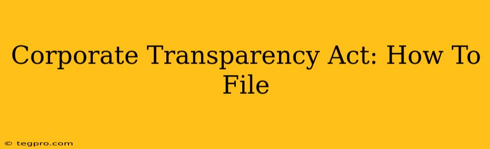 Corporate Transparency Act: How To File