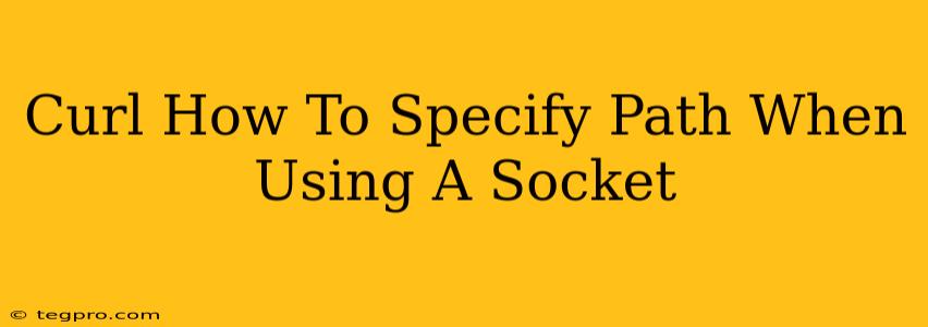 Curl How To Specify Path When Using A Socket