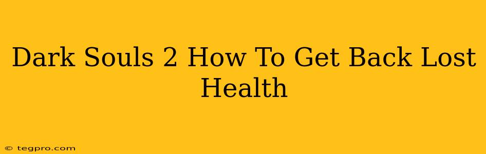 Dark Souls 2 How To Get Back Lost Health