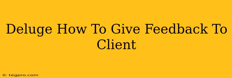 Deluge How To Give Feedback To Client