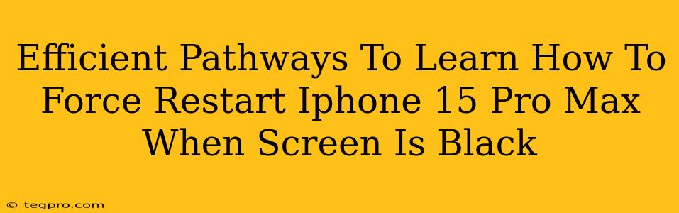 Efficient Pathways To Learn How To Force Restart Iphone 15 Pro Max When Screen Is Black