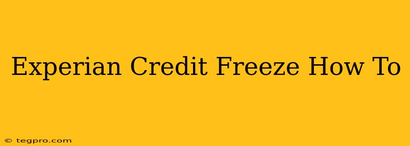 Experian Credit Freeze How To