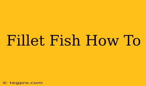 Fillet Fish How To