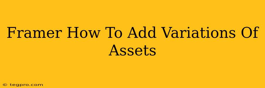 Framer How To Add Variations Of Assets