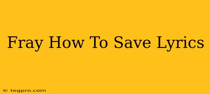 Fray How To Save Lyrics