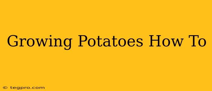 Growing Potatoes How To