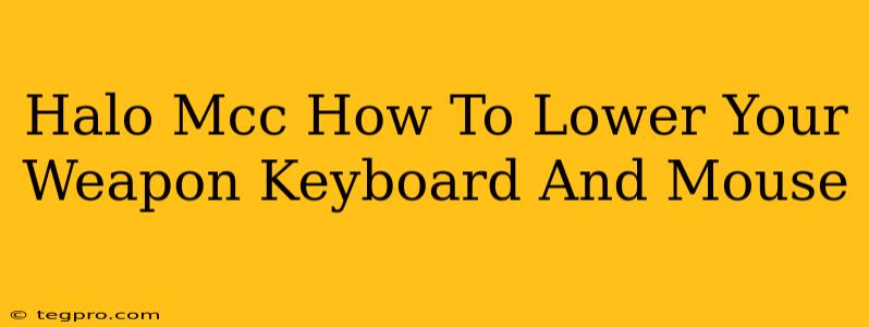 Halo Mcc How To Lower Your Weapon Keyboard And Mouse