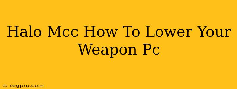 Halo Mcc How To Lower Your Weapon Pc