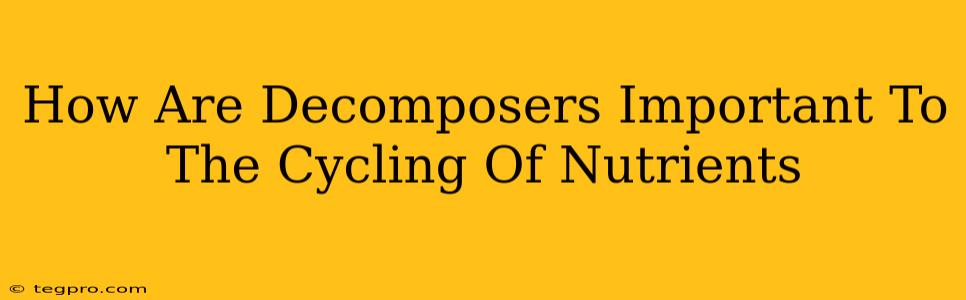 How Are Decomposers Important To The Cycling Of Nutrients