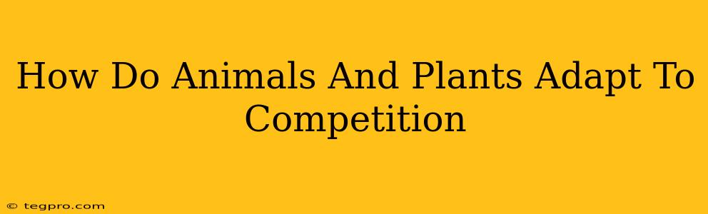 How Do Animals And Plants Adapt To Competition