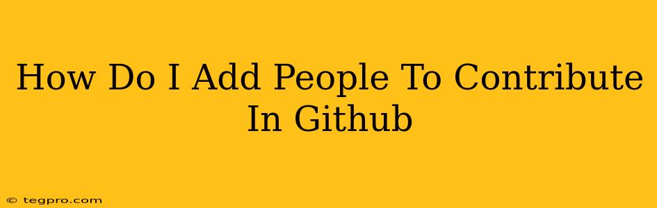 How Do I Add People To Contribute In Github