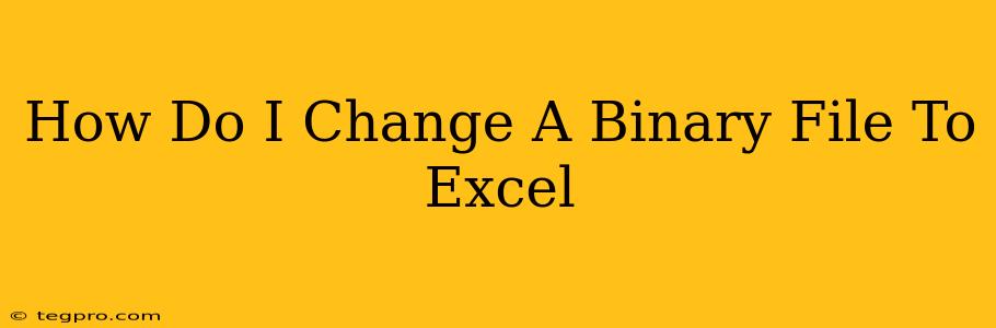 How Do I Change A Binary File To Excel