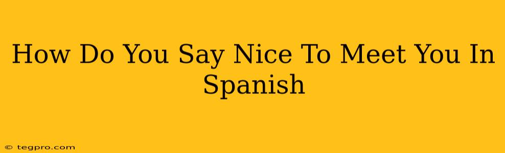 How Do You Say Nice To Meet You In Spanish