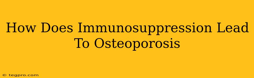 How Does Immunosuppression Lead To Osteoporosis