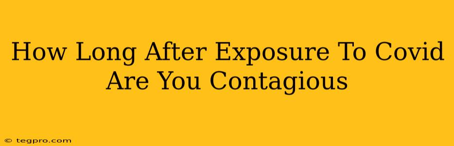 How Long After Exposure To Covid Are You Contagious