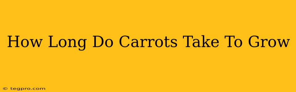 How Long Do Carrots Take To Grow