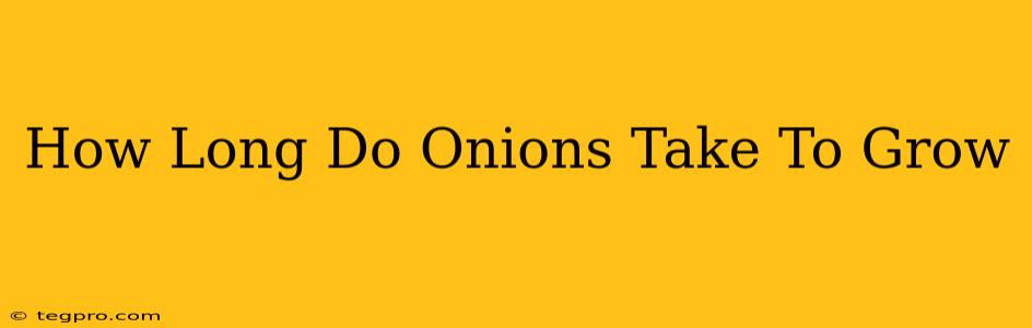 How Long Do Onions Take To Grow