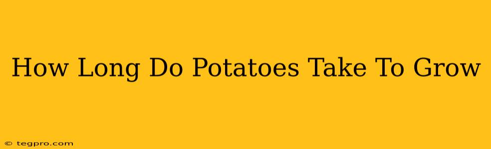 How Long Do Potatoes Take To Grow