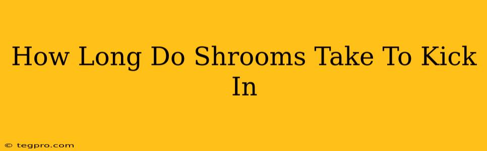 How Long Do Shrooms Take To Kick In