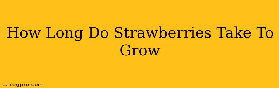 How Long Do Strawberries Take To Grow