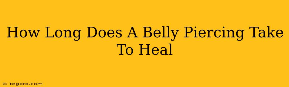 How Long Does A Belly Piercing Take To Heal