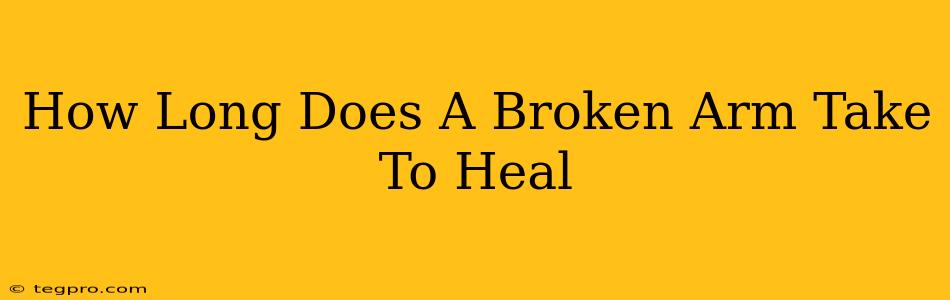 How Long Does A Broken Arm Take To Heal