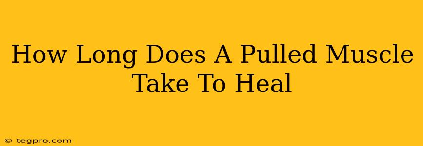 How Long Does A Pulled Muscle Take To Heal