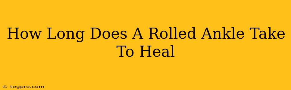 How Long Does A Rolled Ankle Take To Heal