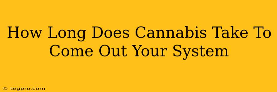 How Long Does Cannabis Take To Come Out Your System