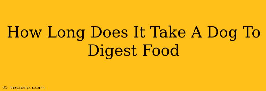 How Long Does It Take A Dog To Digest Food