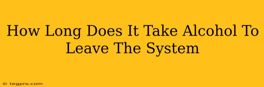 How Long Does It Take Alcohol To Leave The System