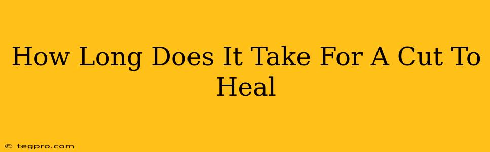 How Long Does It Take For A Cut To Heal