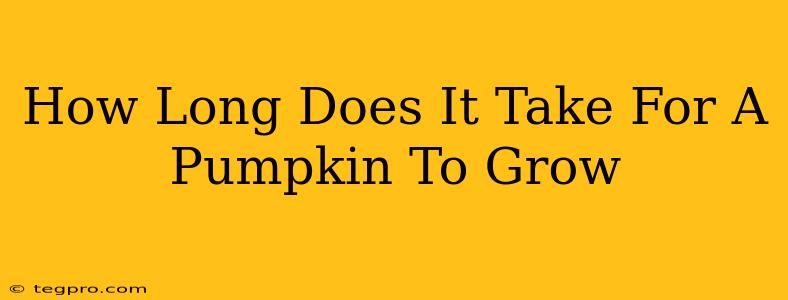 How Long Does It Take For A Pumpkin To Grow