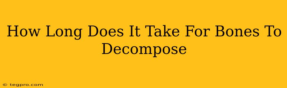 How Long Does It Take For Bones To Decompose