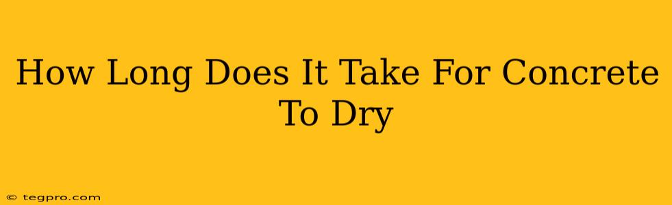 How Long Does It Take For Concrete To Dry