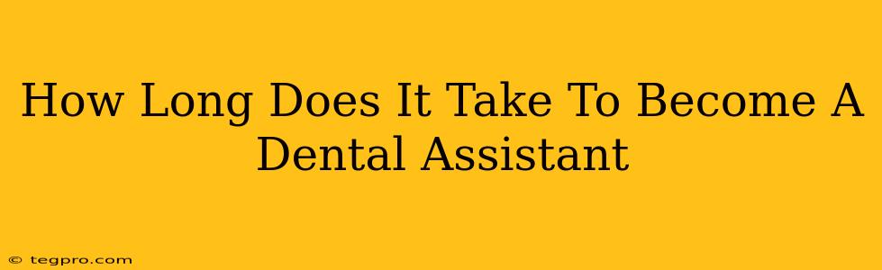 How Long Does It Take To Become A Dental Assistant