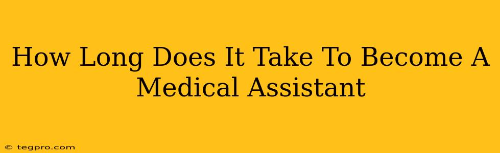 How Long Does It Take To Become A Medical Assistant