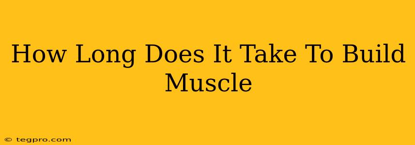 How Long Does It Take To Build Muscle