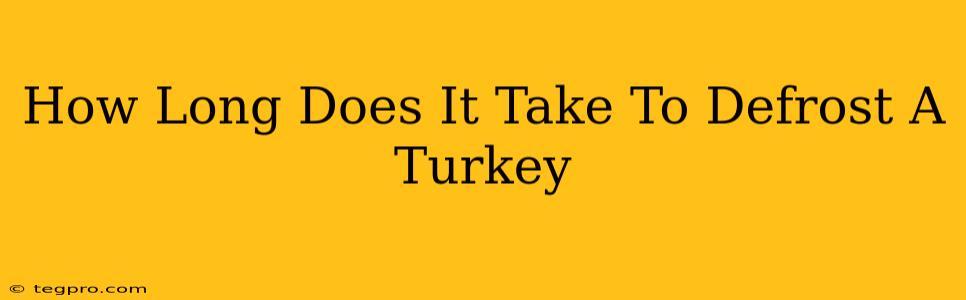 How Long Does It Take To Defrost A Turkey