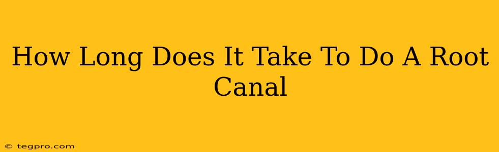 How Long Does It Take To Do A Root Canal