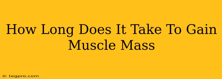 How Long Does It Take To Gain Muscle Mass