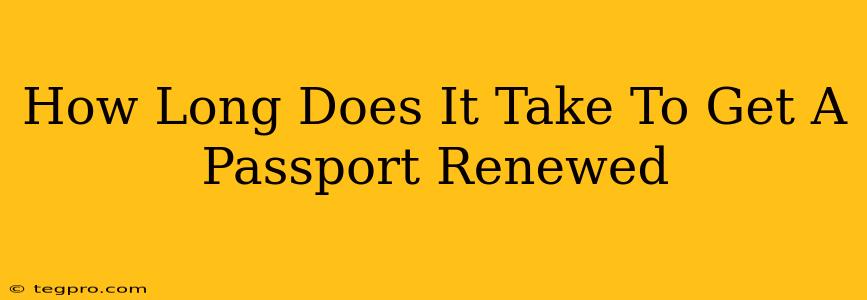 How Long Does It Take To Get A Passport Renewed