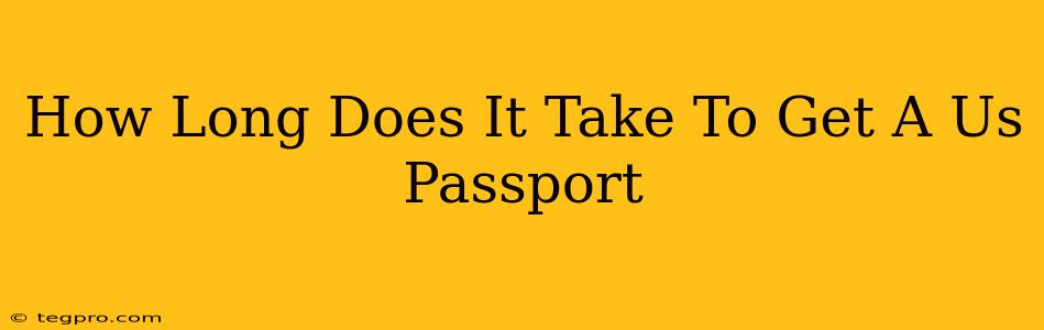 How Long Does It Take To Get A Us Passport