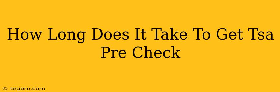 How Long Does It Take To Get Tsa Pre Check