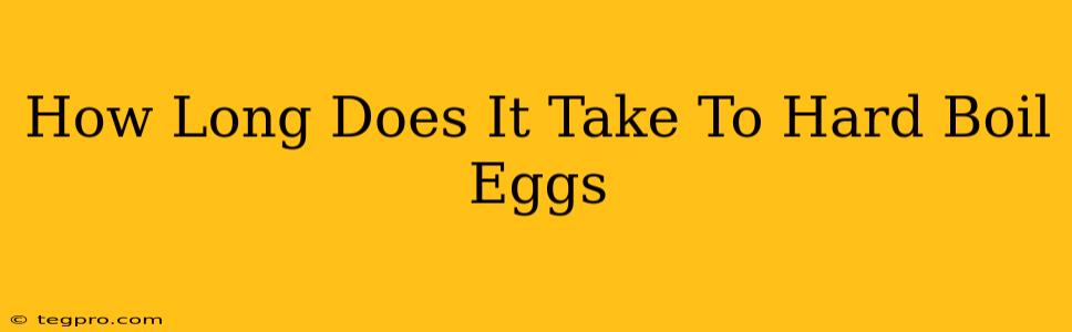 How Long Does It Take To Hard Boil Eggs