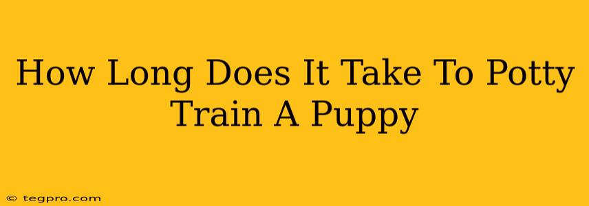 How Long Does It Take To Potty Train A Puppy