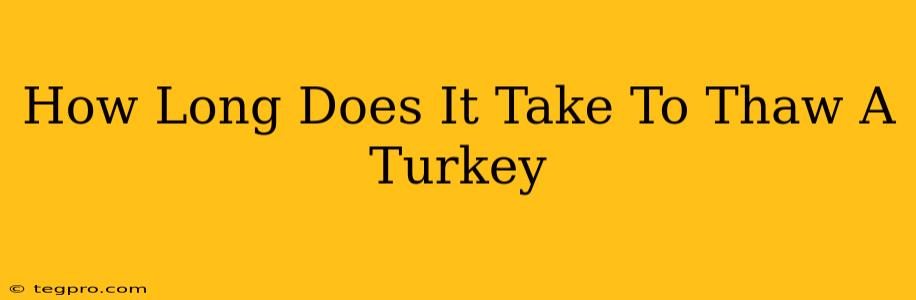 How Long Does It Take To Thaw A Turkey