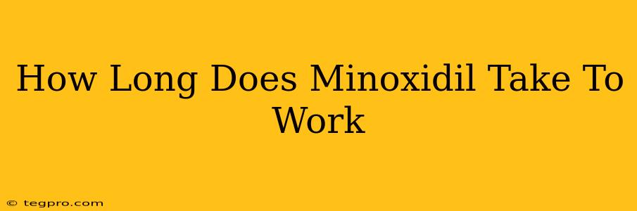 How Long Does Minoxidil Take To Work